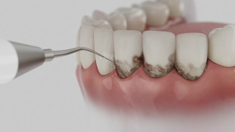 Reliable Dental contractor in Liberty Corner, NJ by Dentist Open Now